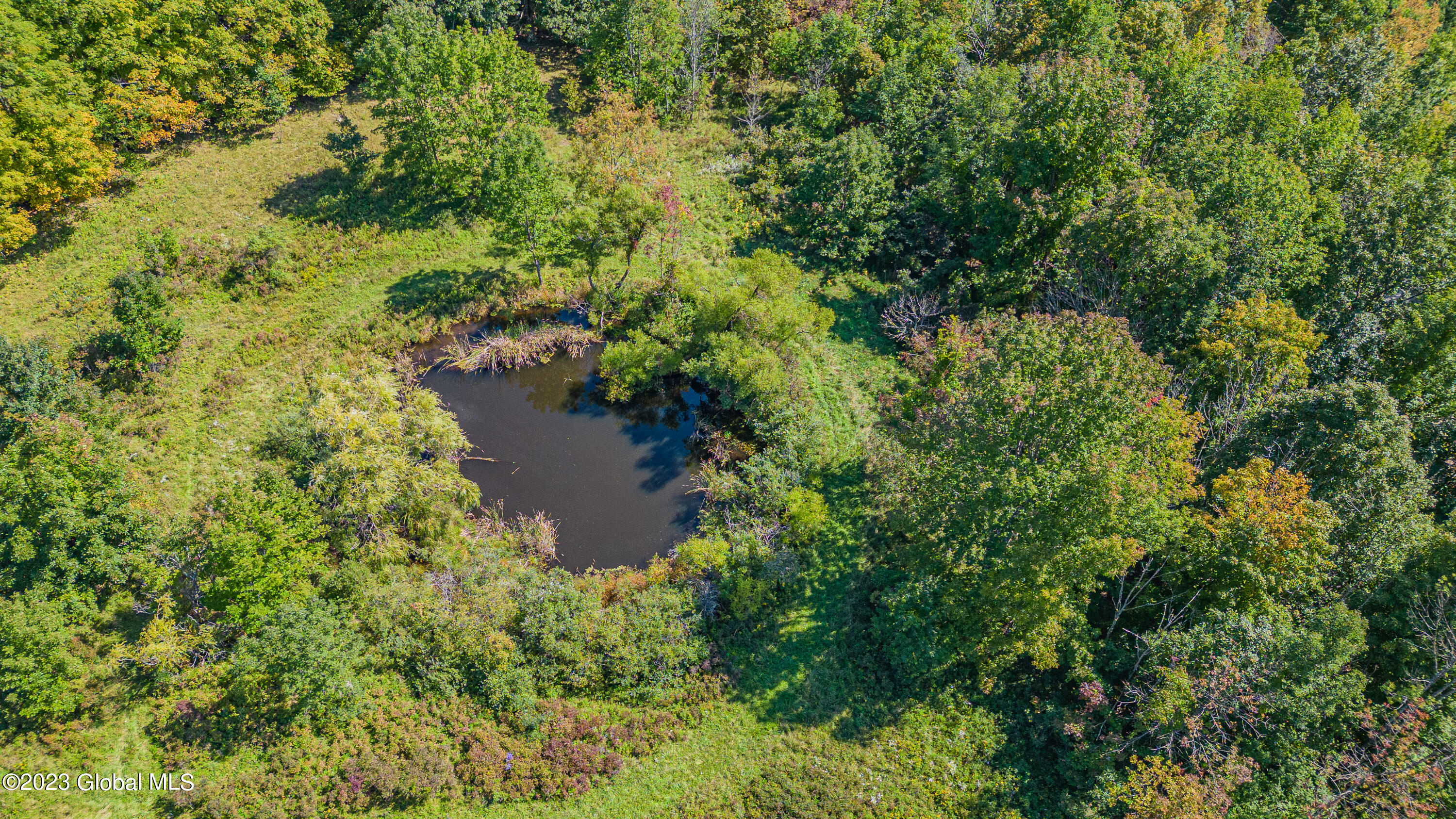 240 Smith Road Rensselaerville, NY 12469 - Photo 54 of 58 0 Air Photo 15