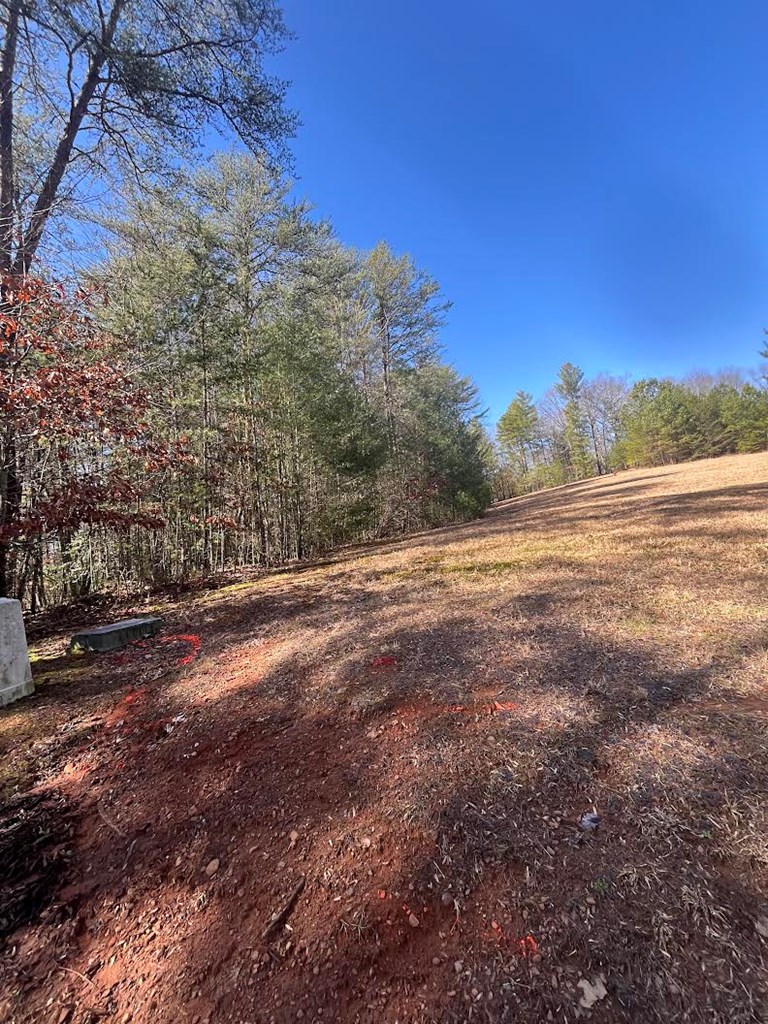 Lot 1 East Licklog Ridge Hayesville, NC 28904 - Photo 2 of 7