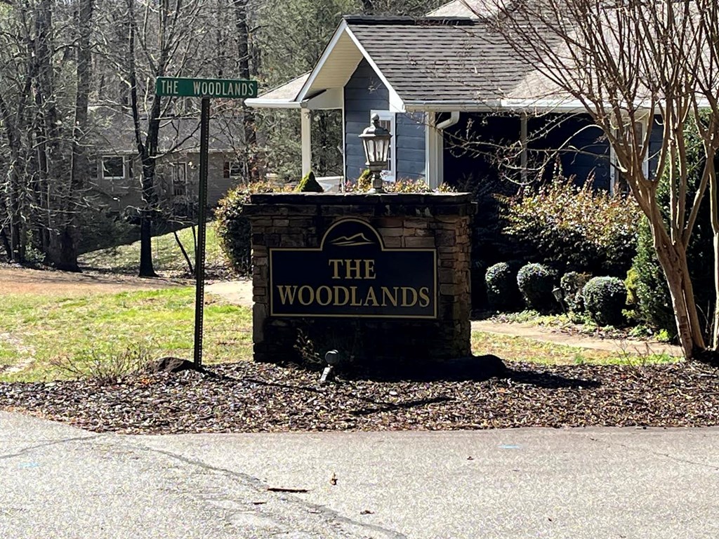 Lot 1 East Licklog Ridge Hayesville, NC 28904 - Photo 4 of 7