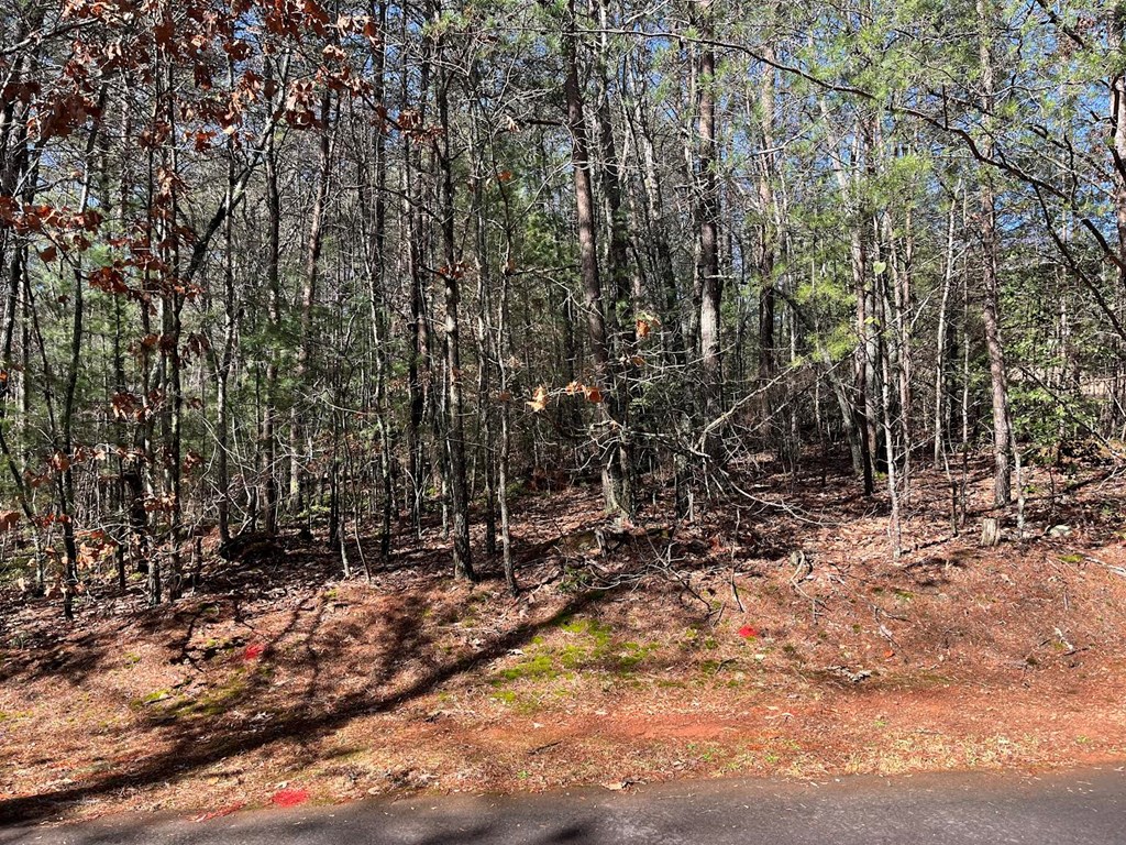 Lot 1 East Licklog Ridge Hayesville, NC 28904 - Photo 6 of 7
