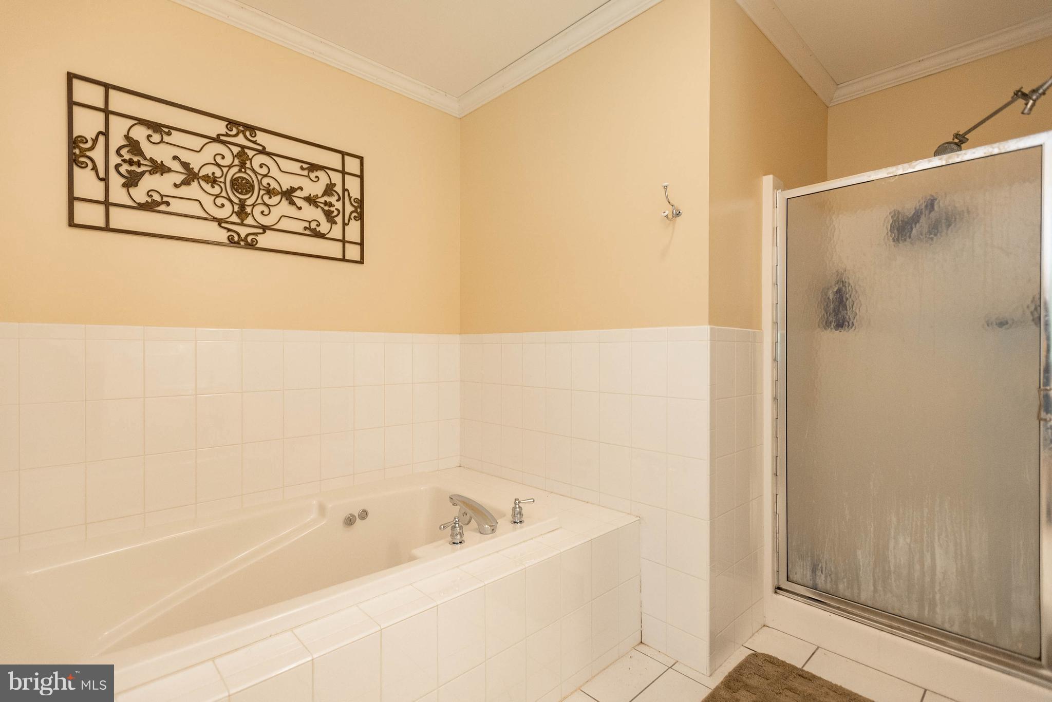 1158 Quarry Road Pylesville, MD 21132 - Photo 19 of 30 a bathroom with a bathtub and shower