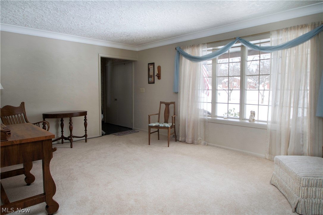 2928 Anderson Morris Road Niles, OH 44446 - Photo 3 of 29 Gallery Image 3