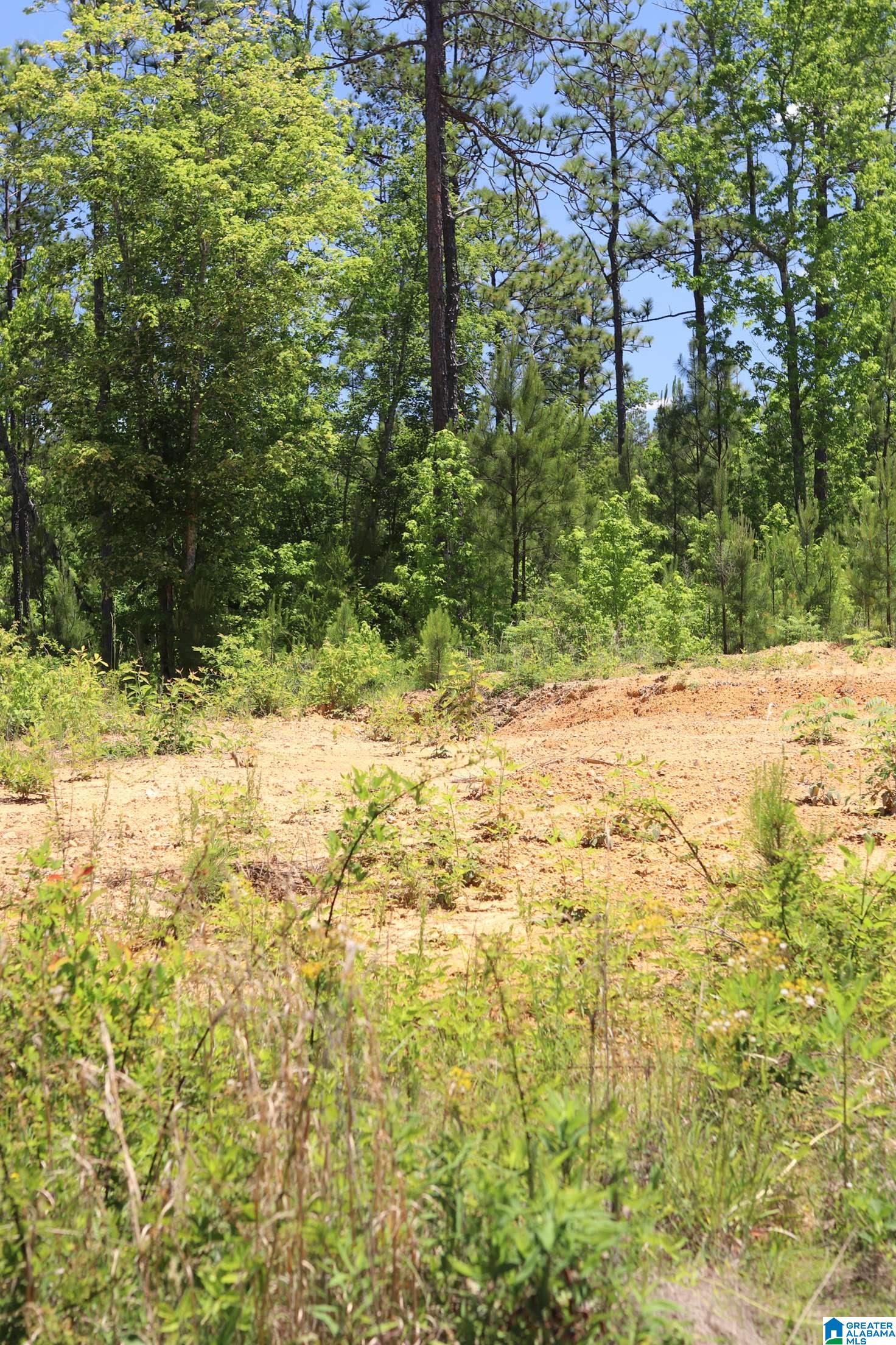 2930 Shocco Springs Road Talladega, AL 35160 - Photo 21 of 93