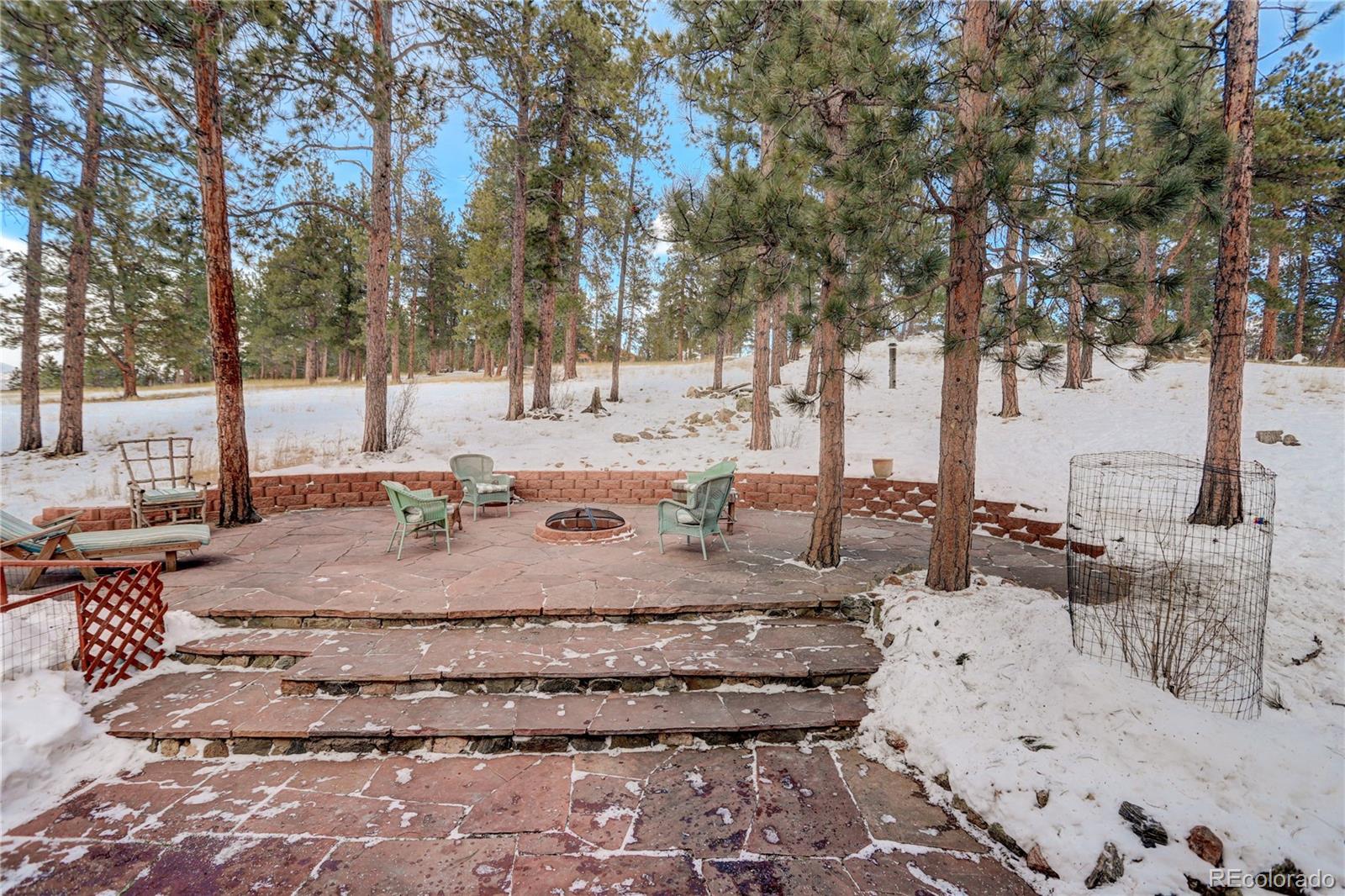 129 Bulldogger Road Bailey, CO 80421 - Photo 8 of 40 a view of a yard with a tree
