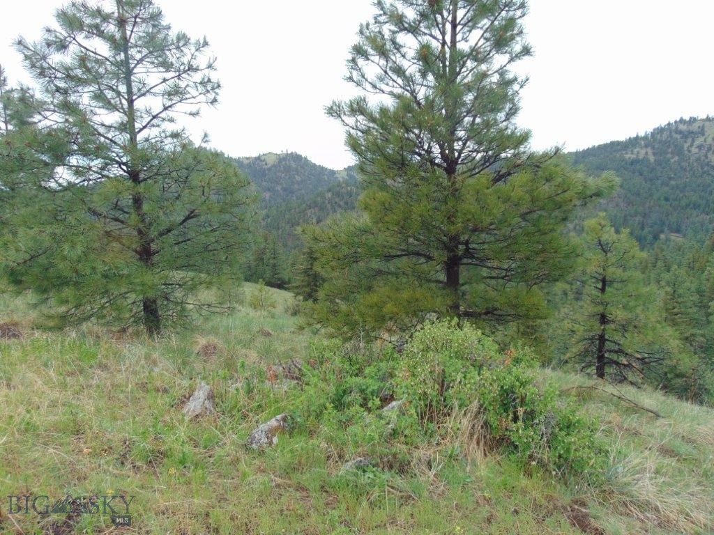 Tbd Shady Spring Lane Cascade, MT 59421 - Photo 36 of 78 Gallery Image 36