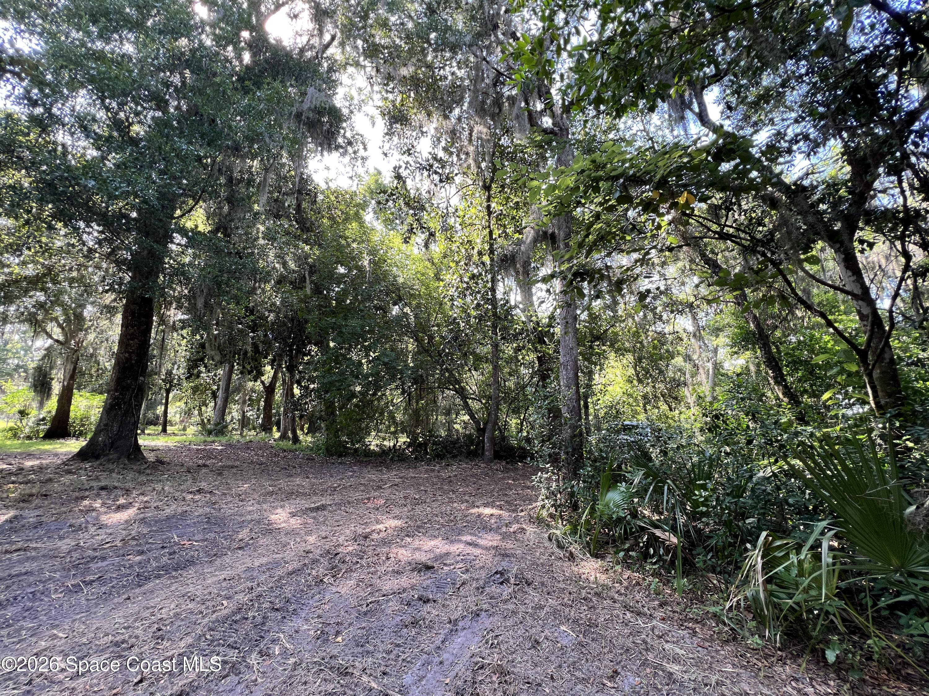 0 Carter Road Mims, FL 32754 - Photo 13 of 25 IMG_5409
