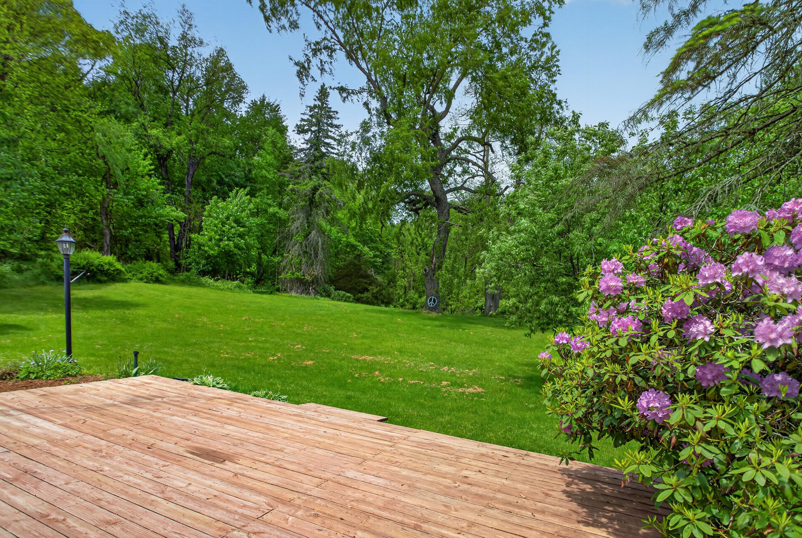 4681 Folks Road Horton, MI 49246 - Photo 55 of 69 IMG_9529