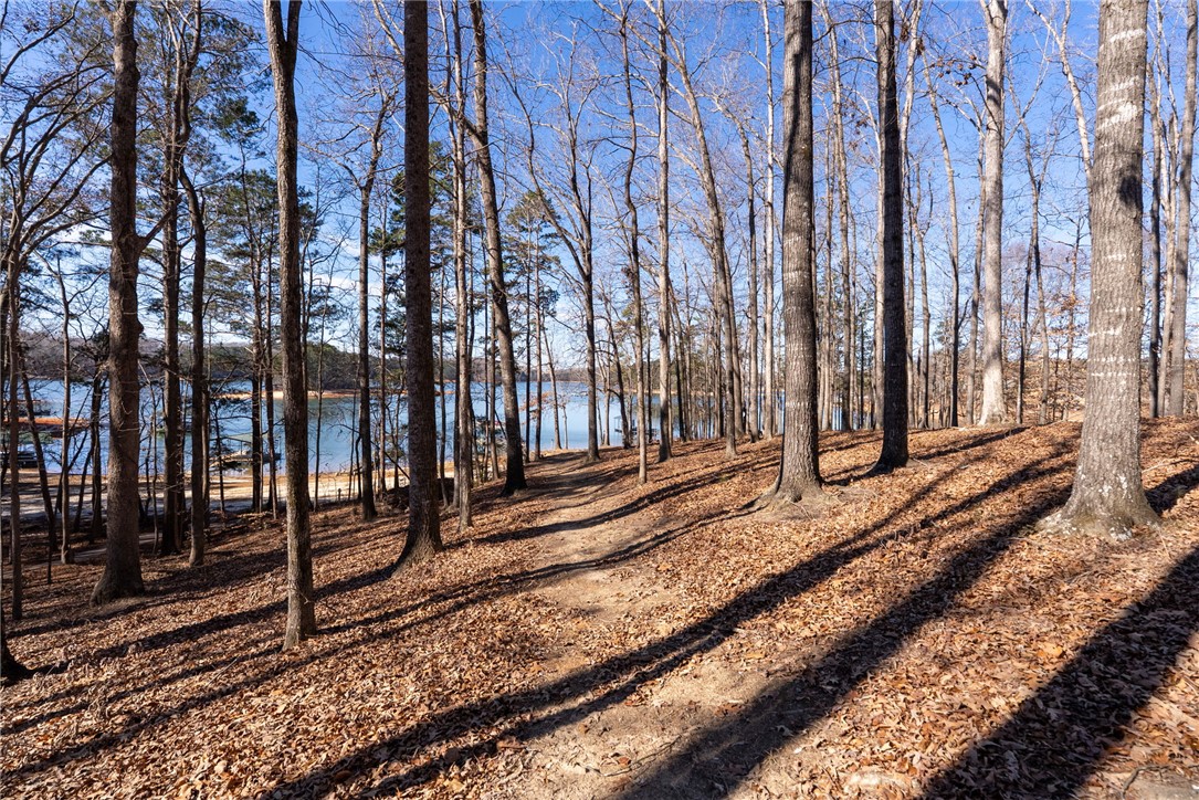 505 Northview Court Fair Play, SC 29643 - Photo 14 of 48 A tranquil path winds through a wooded landscape, leading to serene waters under a clear sky.
