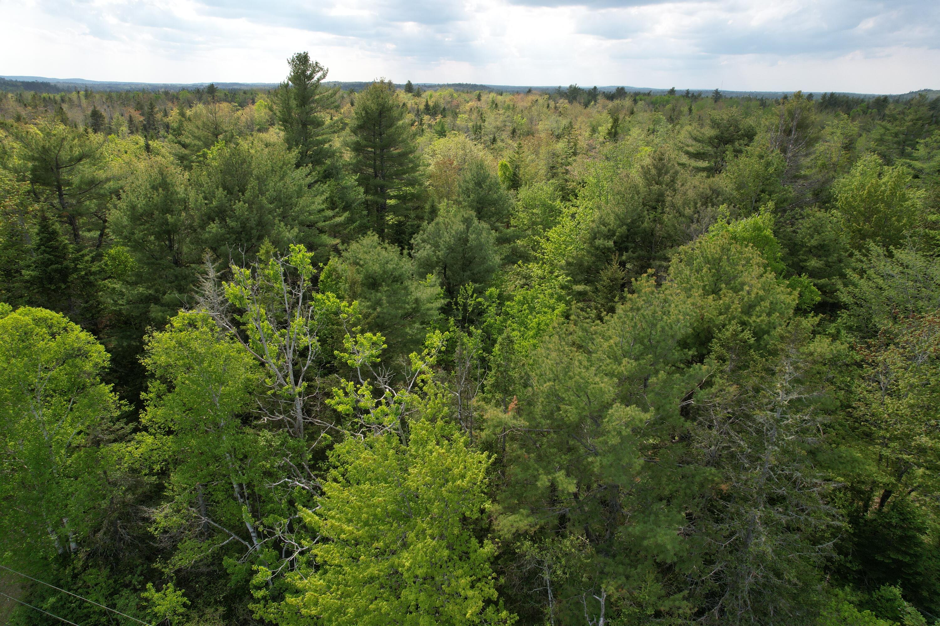 Map5-lot6 Youngs Cove Road Pembroke, ME 04666 - Photo 15 of 30 DJI_0548