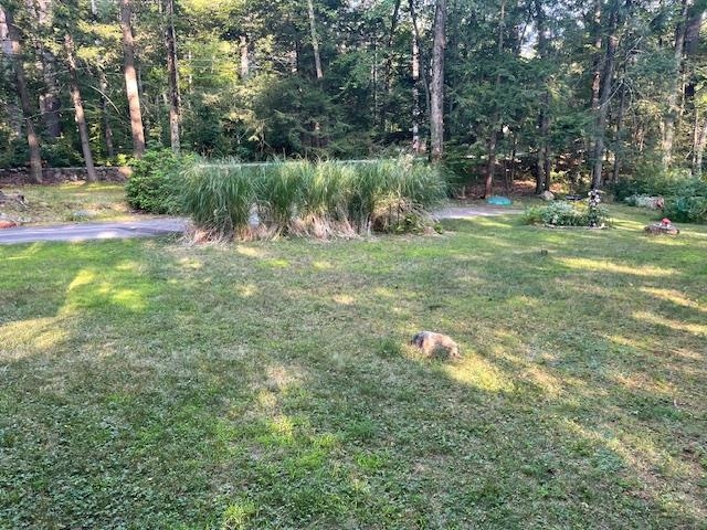 7 Miles Road Amherst, NH 03031 - Photo 15 of 22