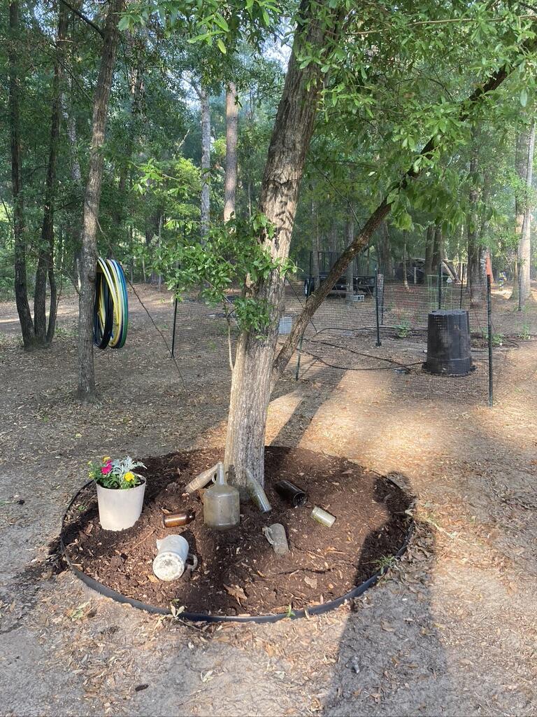 5955 Bears Bluff Road Wadmalaw Island, SC 29487 - Photo 11 of 13 30E1BFB0-FAAB-43F4-9CAF-E3B09D5C6C03_1_1