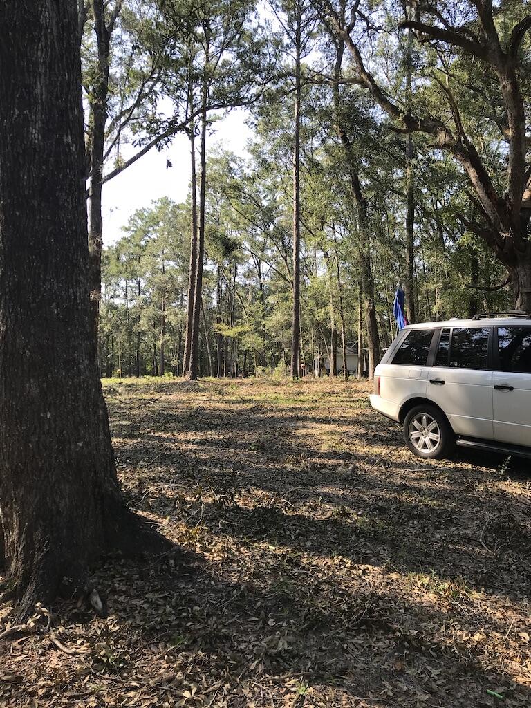 5955 Bears Bluff Road Wadmalaw Island, SC 29487 - Photo 12 of 13 474519E1-5165-41A4-B04E-9FA0D1ED5645_1_1