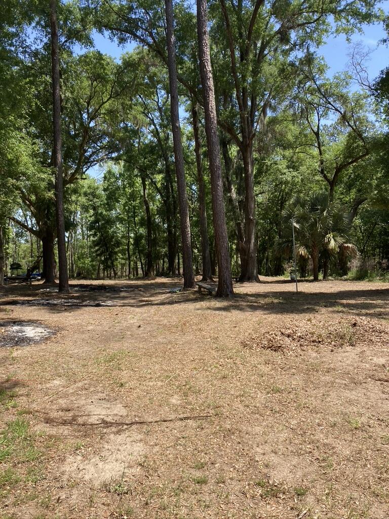 5955 Bears Bluff Road Wadmalaw Island, SC 29487 - Photo 13 of 13 2D2534E0-A6AB-4F47-9381-B6A981B3CE28_1_1