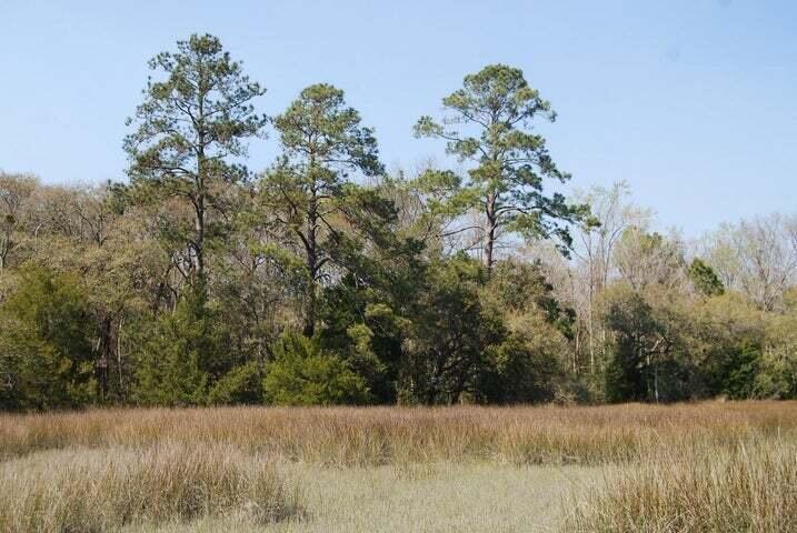 5955 Bears Bluff Road Wadmalaw Island, SC 29487 - Photo 2 of 13 Marsh Open