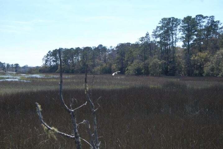 5955 Bears Bluff Road Wadmalaw Island, SC 29487 - Photo 3 of 13 marsh bird