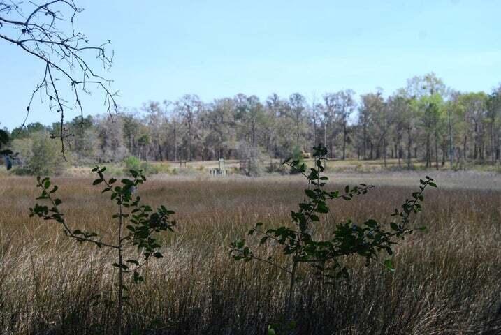 5955 Bears Bluff Road Wadmalaw Island, SC 29487 - Photo 4 of 13 20170419155123128939000000-o