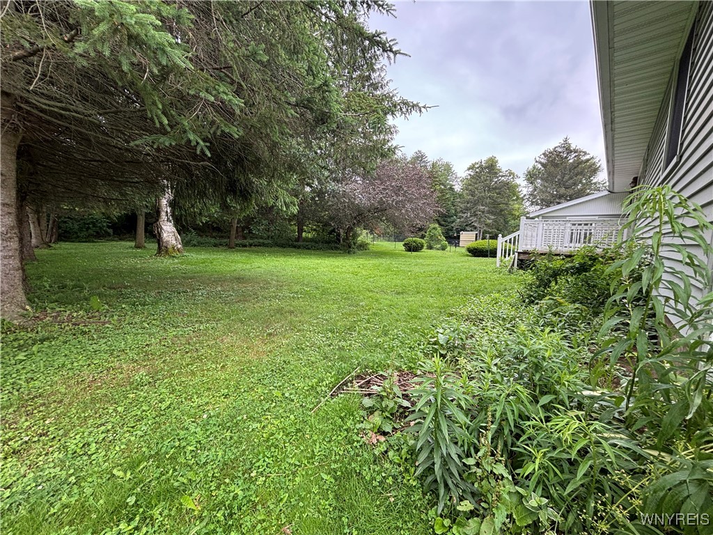 34 Haskell Avenue Arcade, NY 14009 - Photo 3 of 23