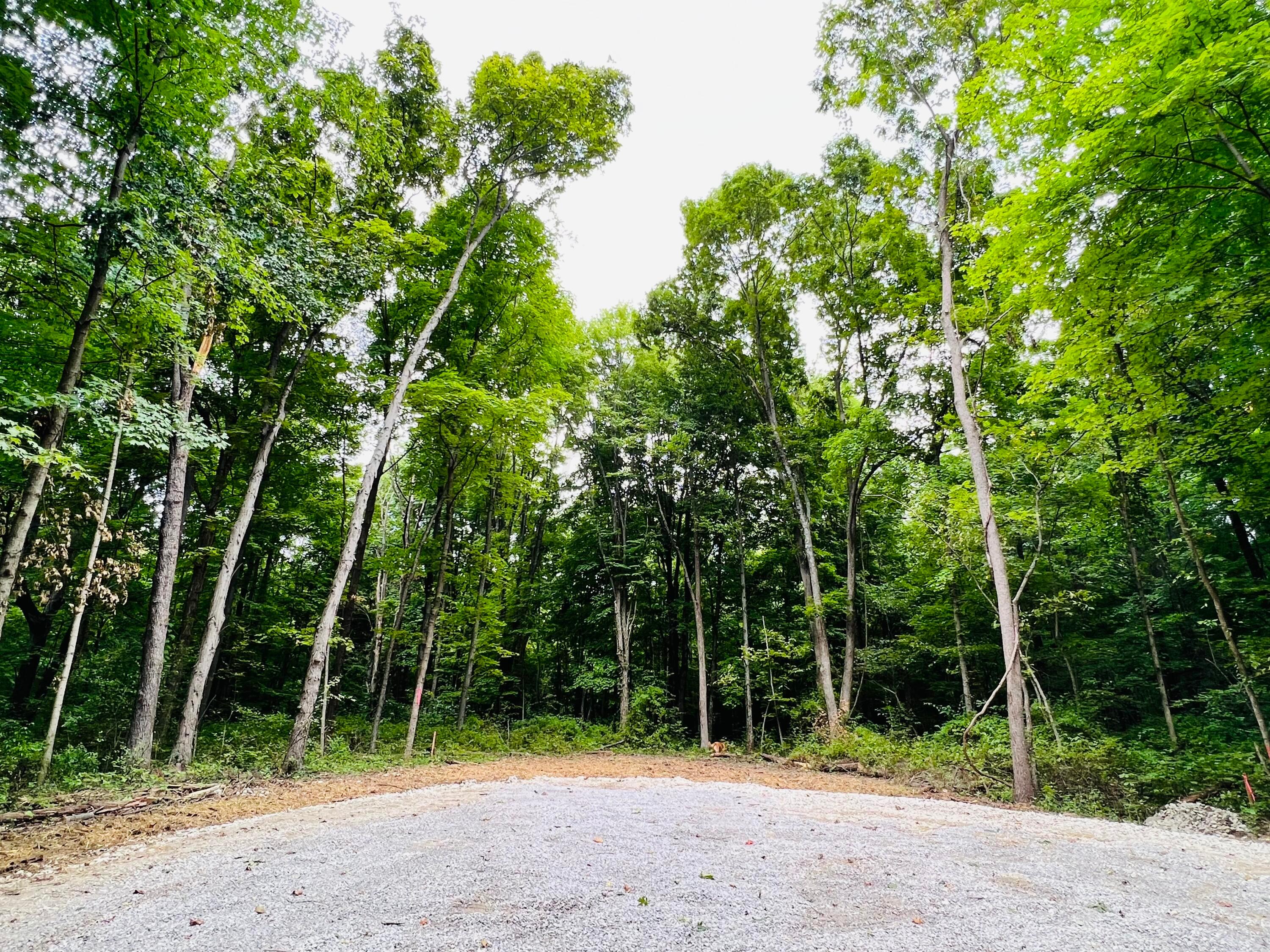 Lot 5 Royalton Road Southwest Lancaster, OH 43130 - Photo 4 of 12 10.07 Wooded Acres
