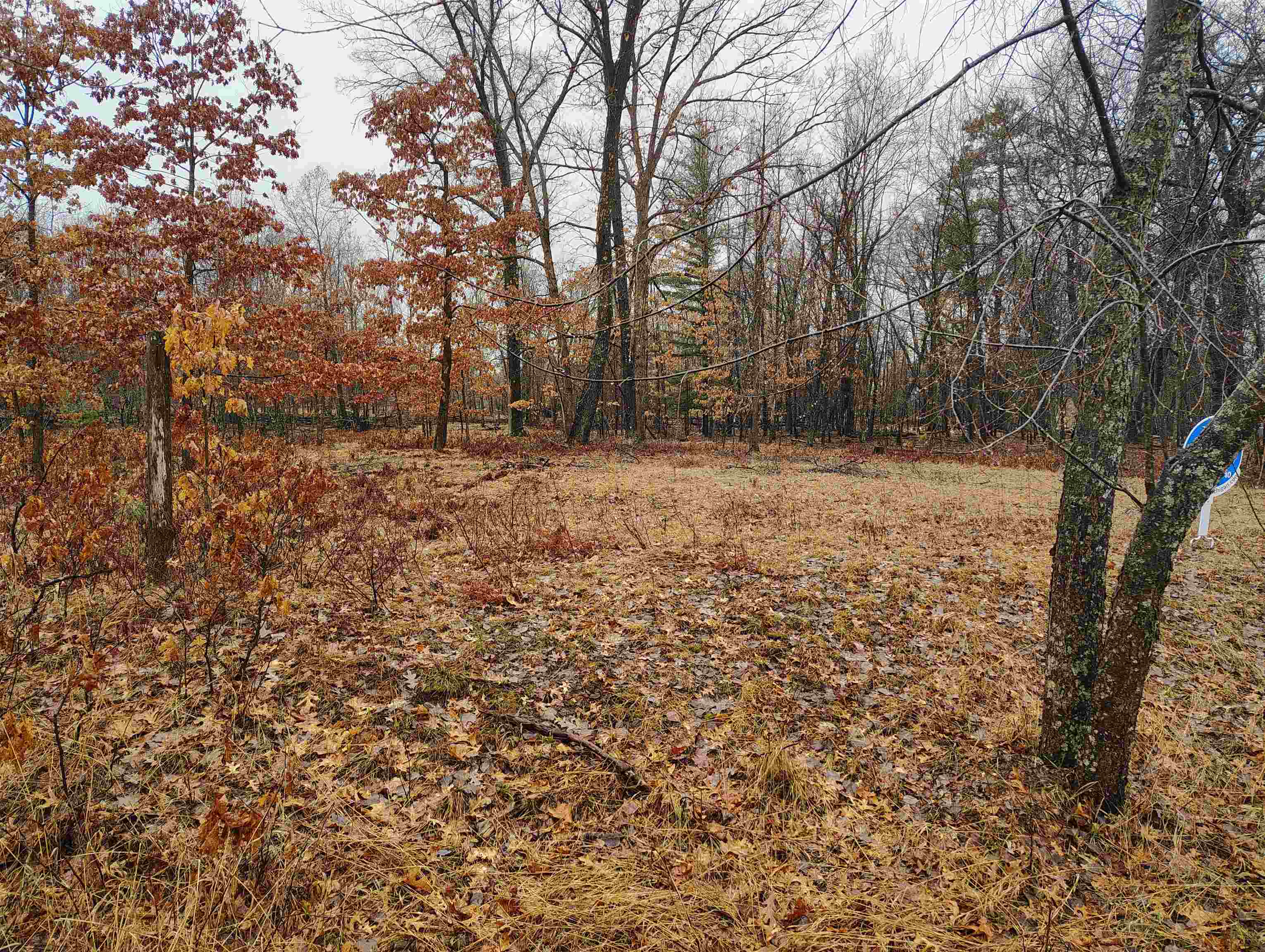 0 Maple Road, Unit LOT: 88 LOT: 88 Gladwin, MI 48624 - Photo 8 of 15