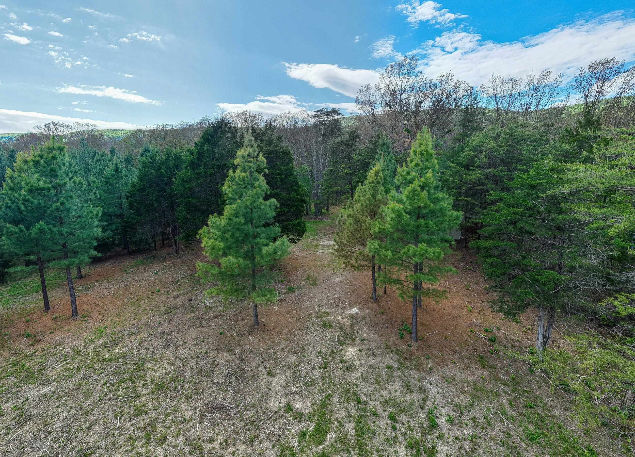 0 Boliver Road Fort Valley, VA 22652 - Photo 8 of 55 Gallery Image 8