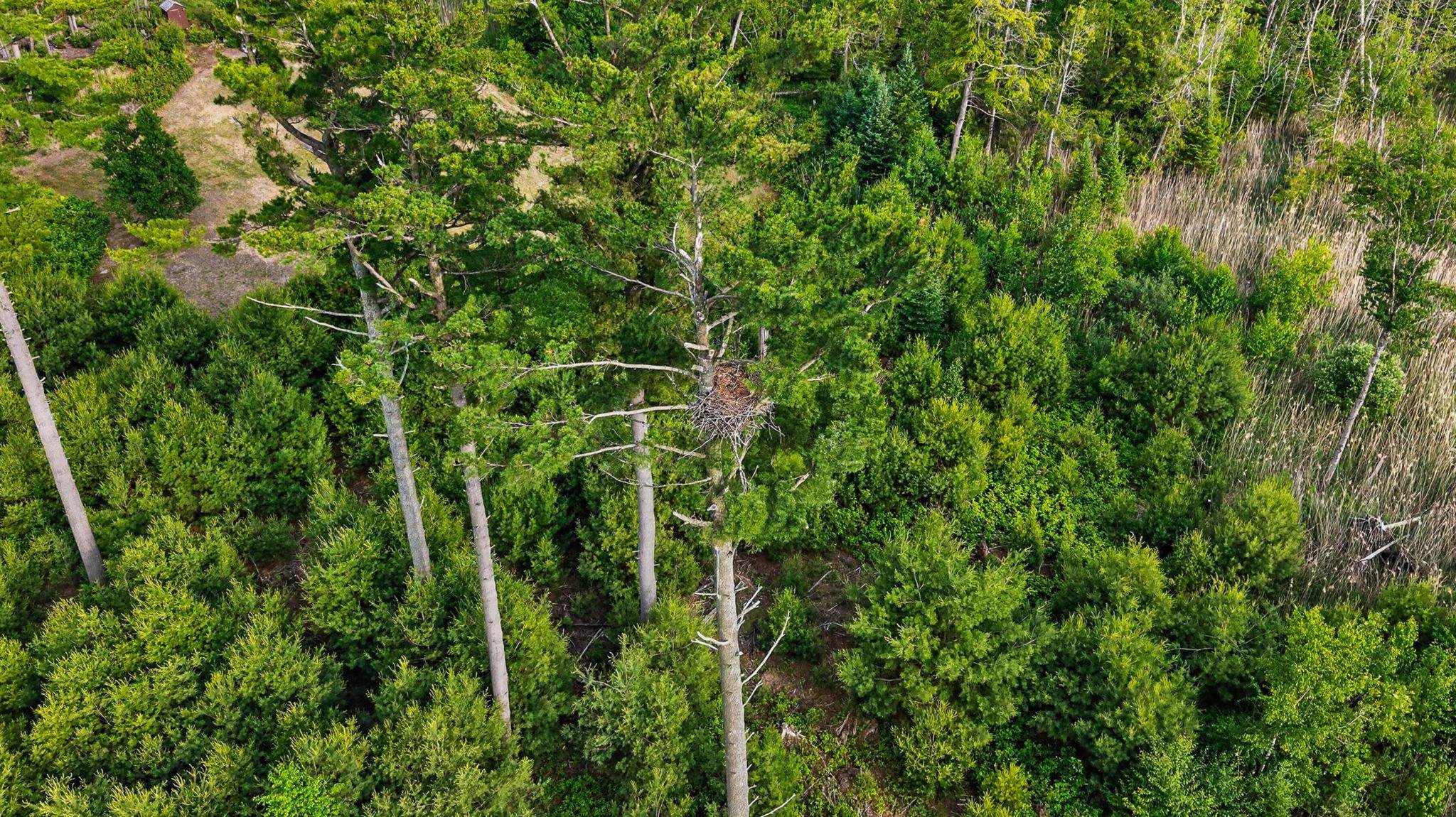 W4220 Number 7 Road Menominee, MI 49858 - Photo 43 of 54