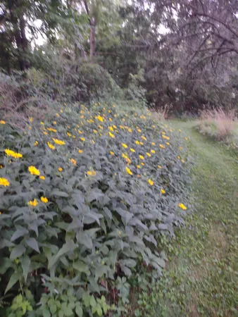 $54,500 | 3349 Mill Road, Cherry Valley, IL 61016