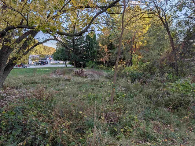 a view of yard with tree