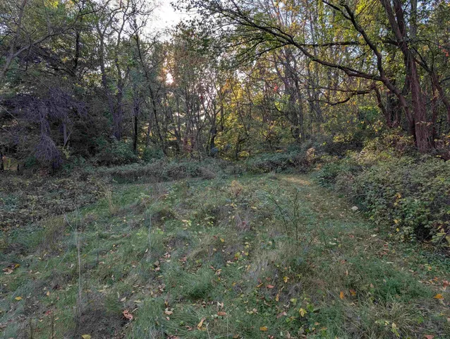 a view of a yard with wooden fence