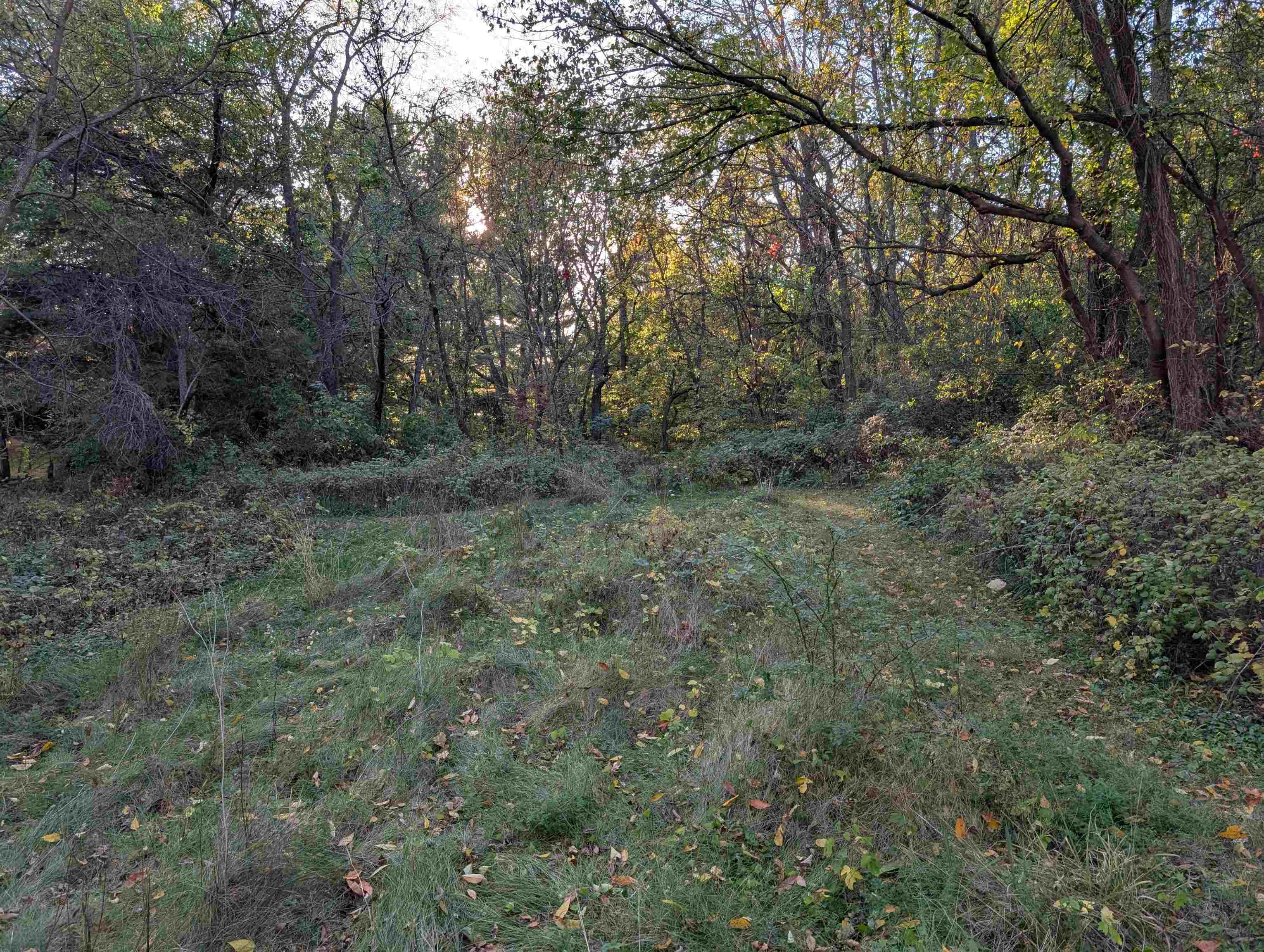 3349 Mill Road Cherry Valley, IL 61016 - Photo 18 of 41 a view of a forest with trees in the background