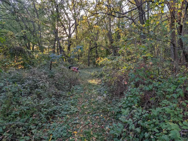 a view of a small yard