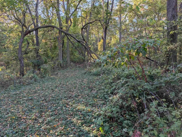a view of a yard with snow