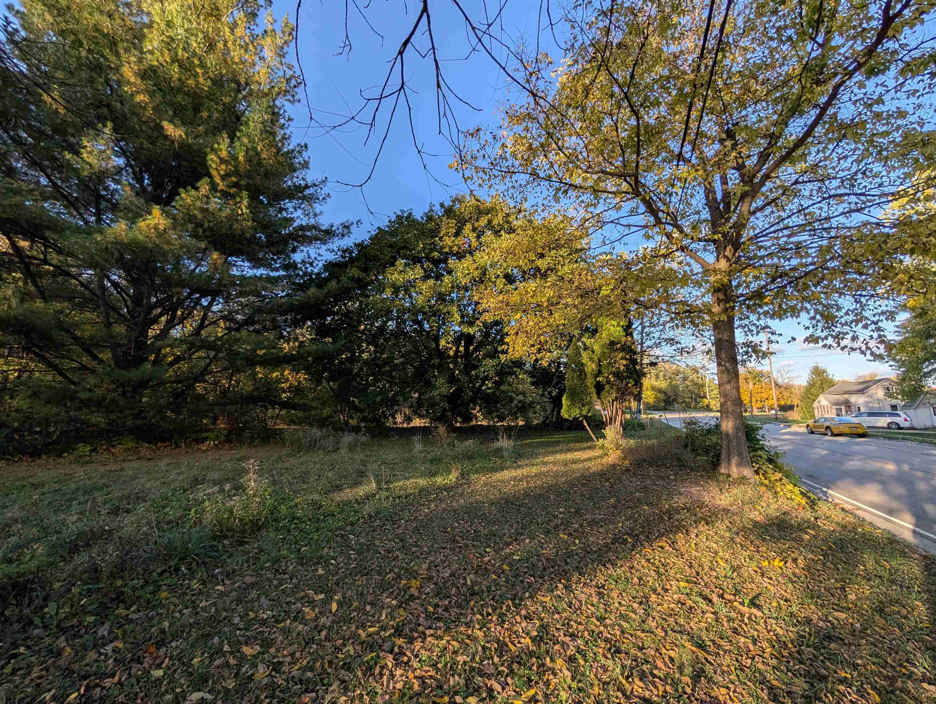 3349 Mill Road Cherry Valley, IL 61016 - Photo 21 of 41 a view of a yard with plants and trees