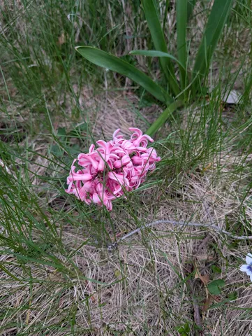 $59,900 | 3349 Mill Road, Cherry Valley, IL 61016