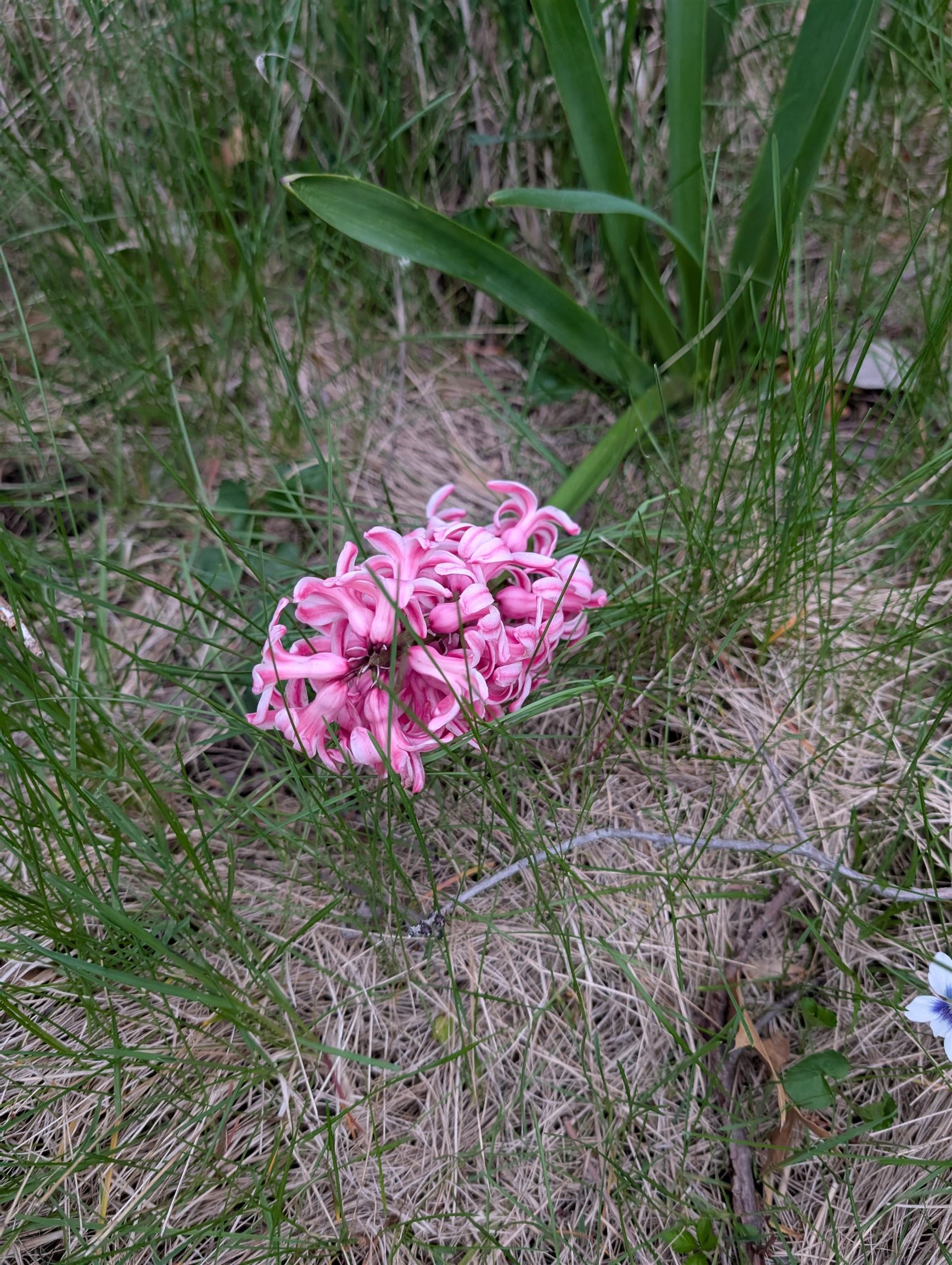 3349 Mill Road Cherry Valley, IL 61016 - Photo 23 of 41