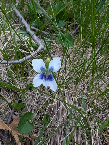 $59,900 | 3349 Mill Road, Cherry Valley, IL 61016