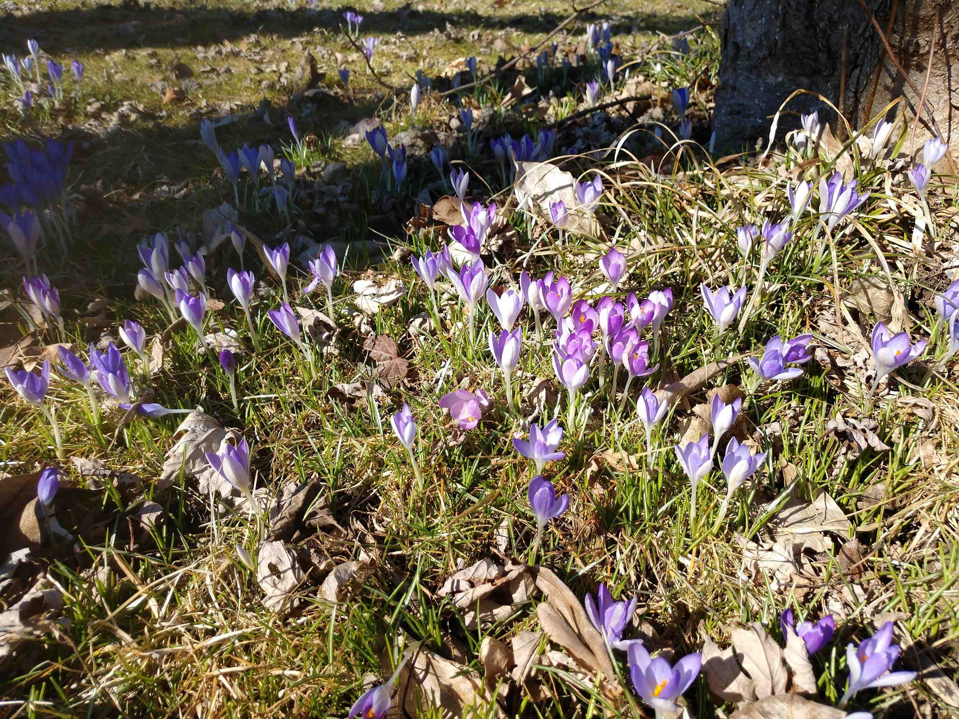 3349 Mill Road Cherry Valley, IL 61016 - Photo 25 of 41