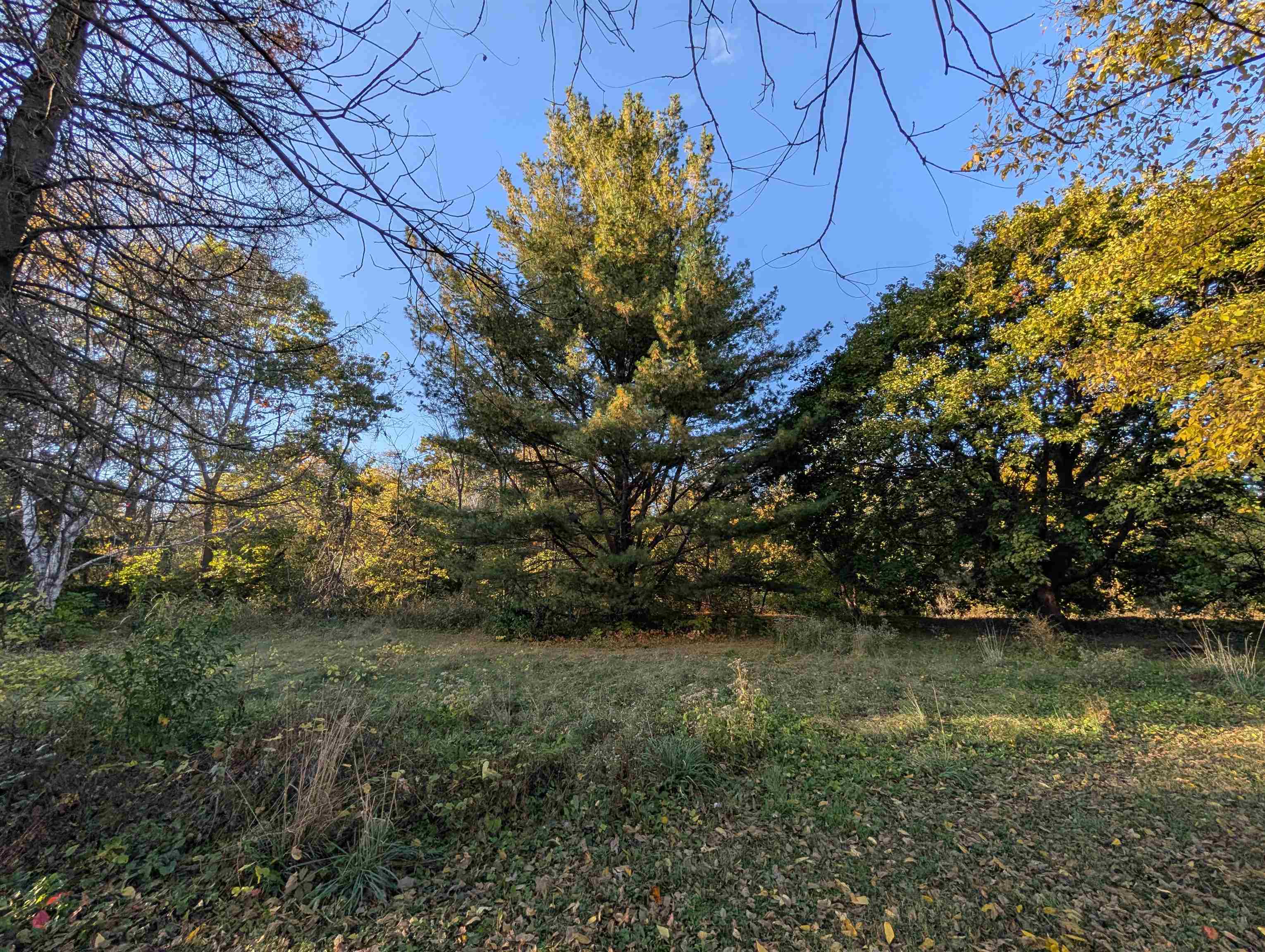 3349 Mill Road Cherry Valley, IL 61016 - Photo 26 of 41