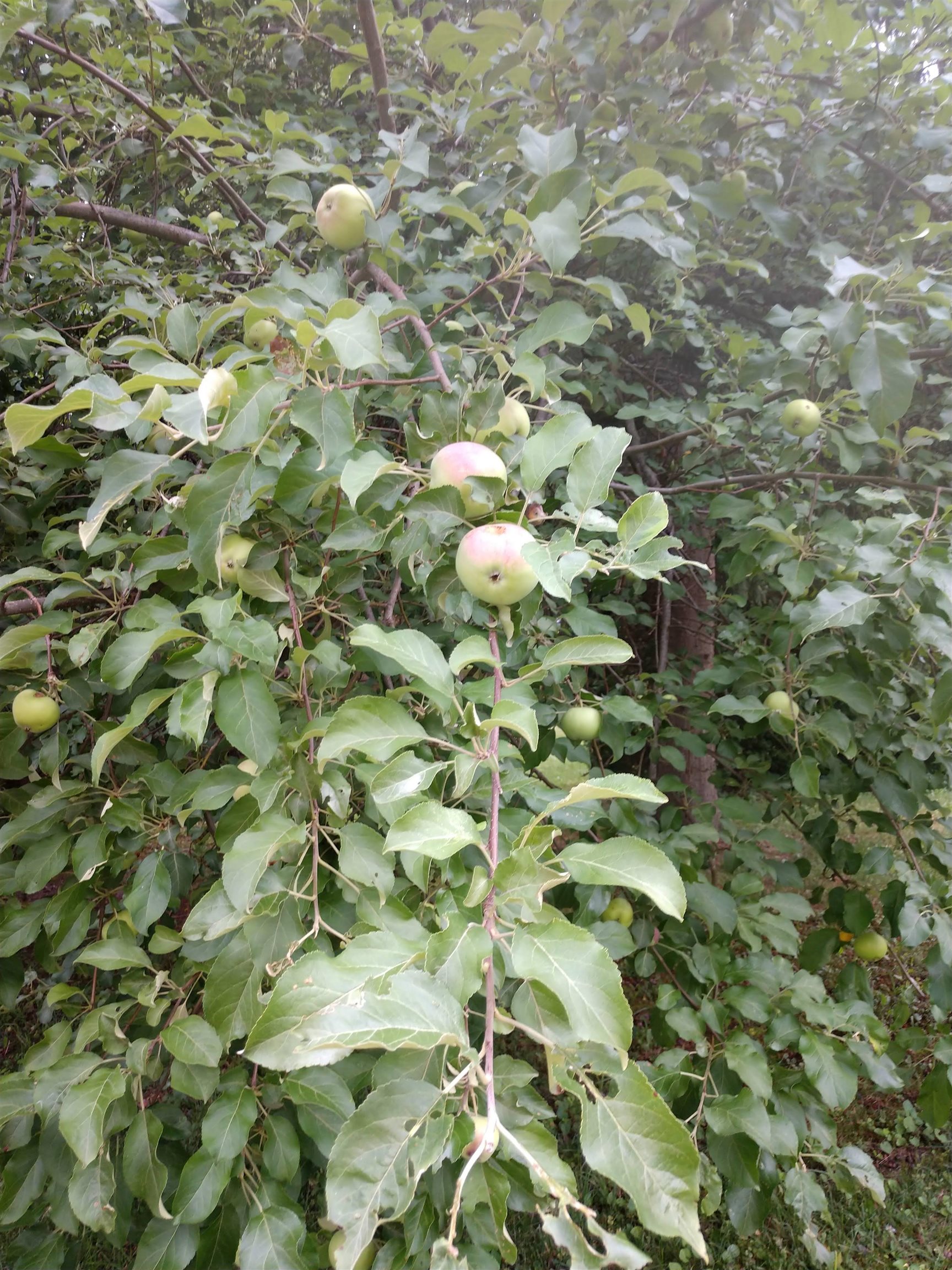 3349 Mill Road Cherry Valley, IL 61016 - Photo 28 of 41