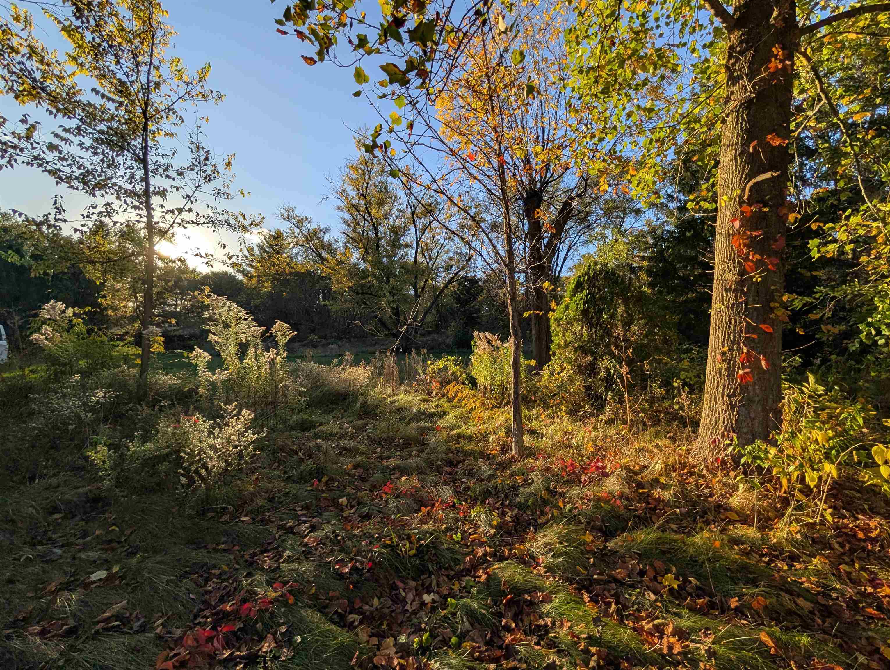 3349 Mill Road Cherry Valley, IL 61016 - Photo 32 of 41