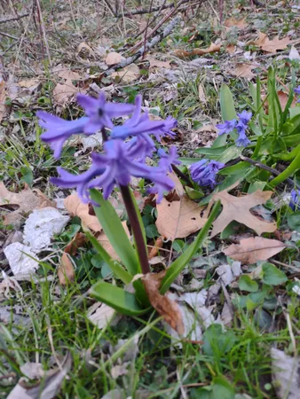 $54,500 | 3349 Mill Road, Cherry Valley, IL 61016