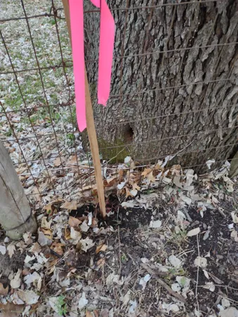 $54,500 | 3349 Mill Road, Cherry Valley, IL 61016