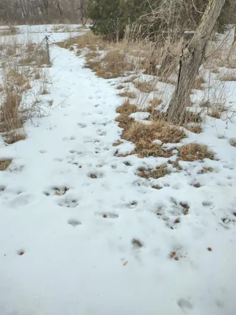 $54,500 | 3349 Mill Road, Cherry Valley, IL 61016