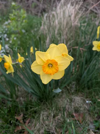 $54,500 | 3349 Mill Road, Cherry Valley, IL 61016