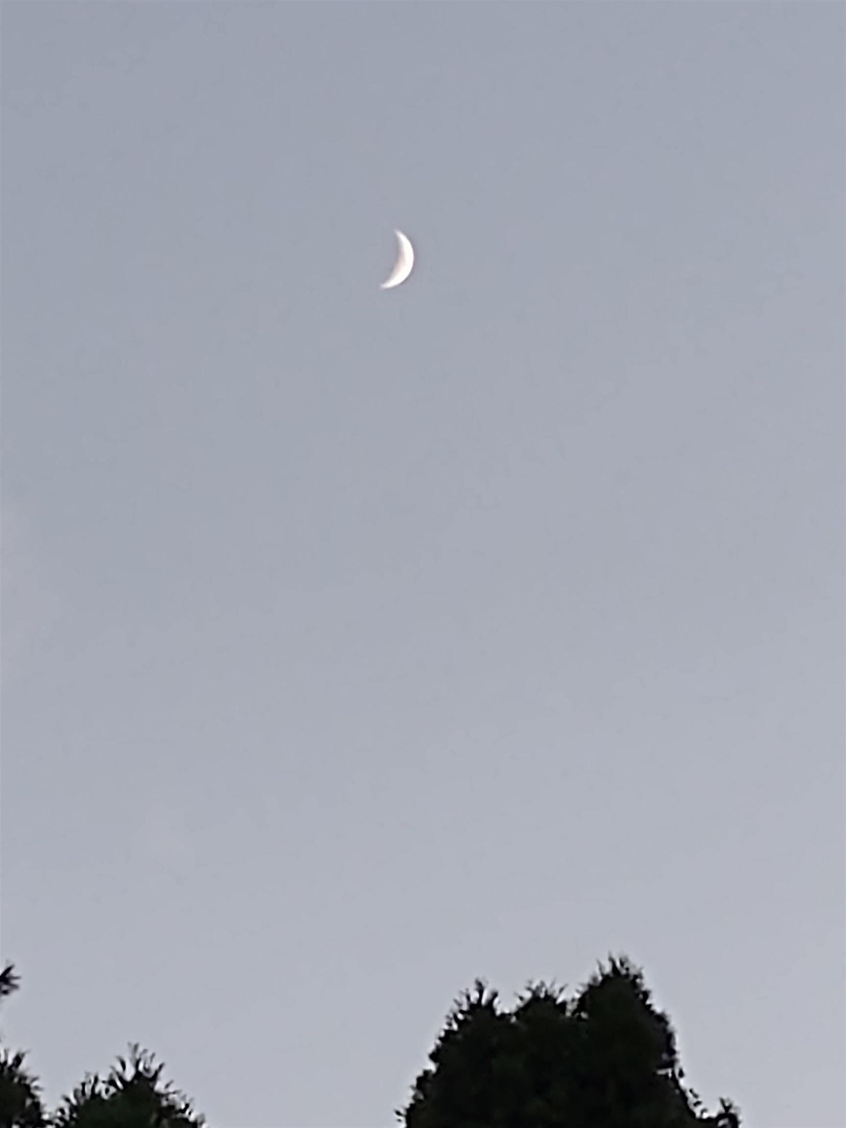 3349 Mill Road Cherry Valley, IL 61016 - Photo 41 of 41