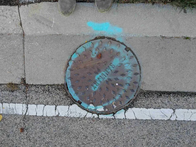 a view of a grassy field with trees in the background