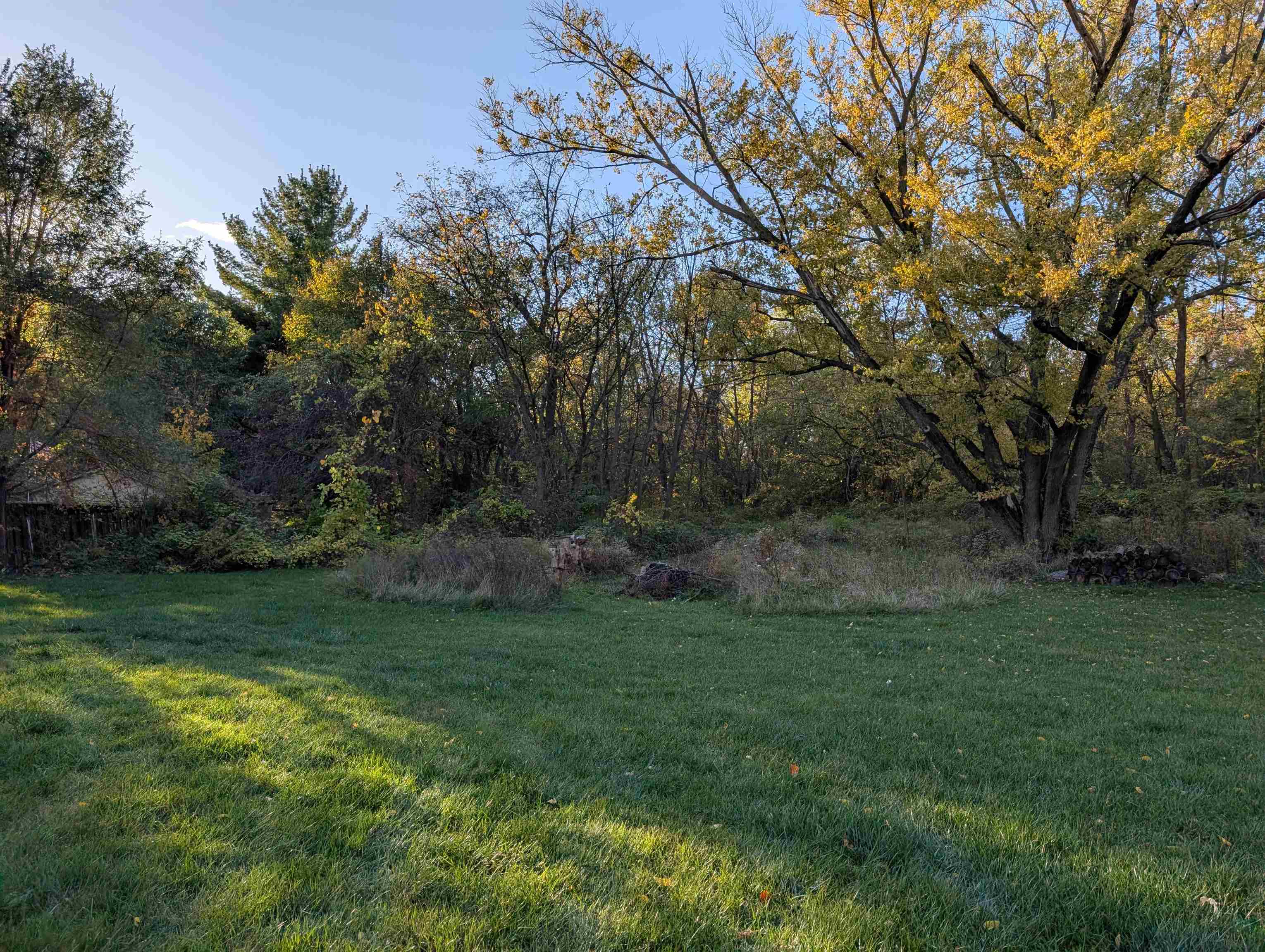 3349 Mill Road Cherry Valley, IL 61016 - Photo 9 of 41 a view of a field of grass and trees