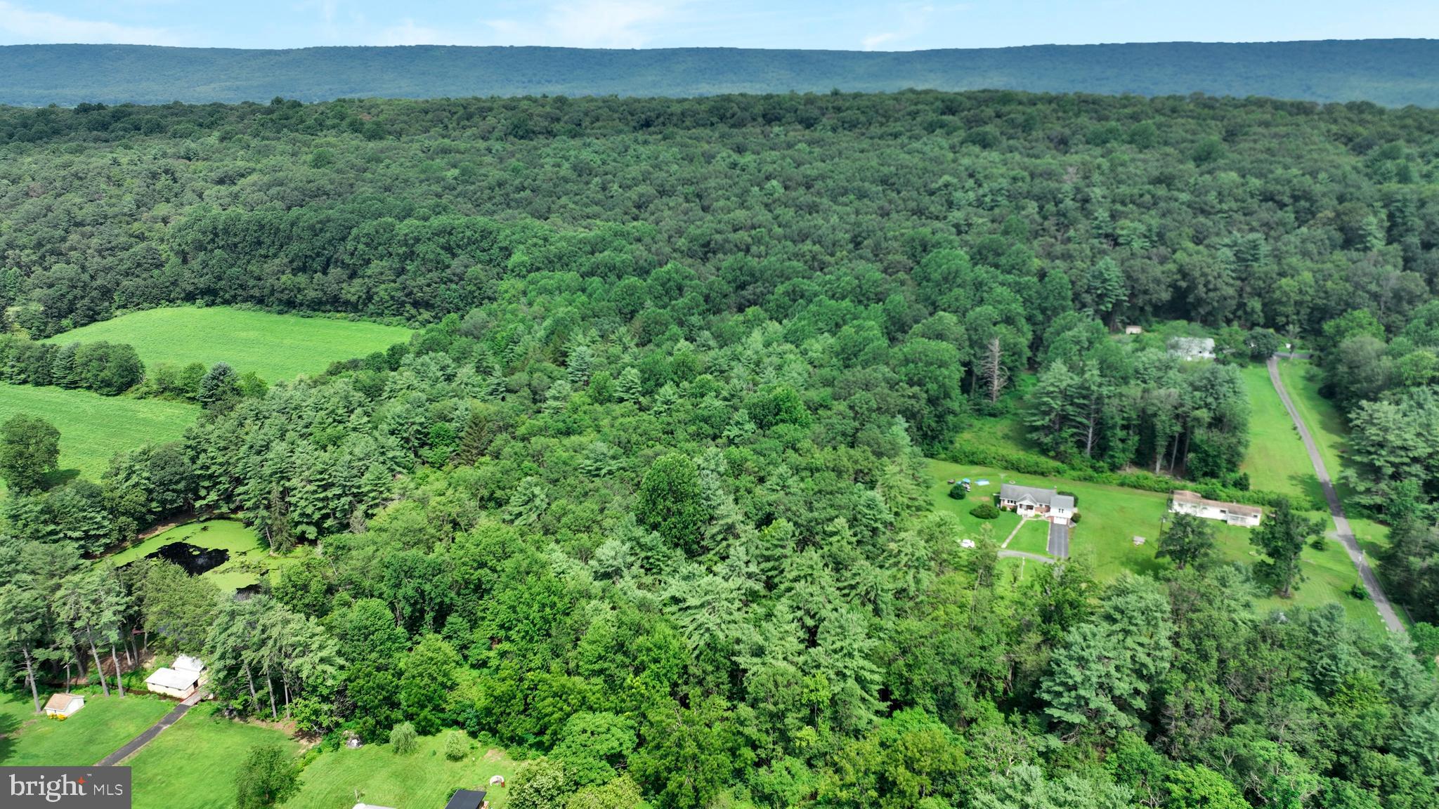 a view of a lush green forest with trees and some houses