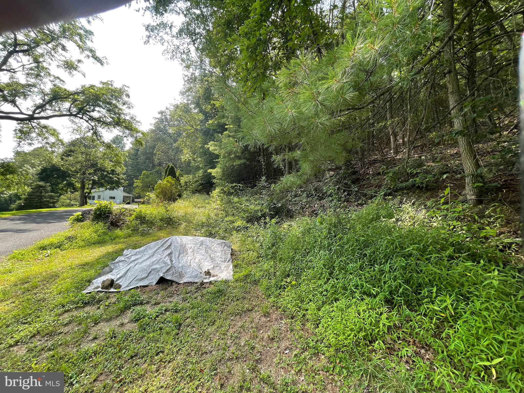 0 Long Run Road Pine Grove, PA 17963 - Photo 11 of 20 Easement on deed to enter property here.