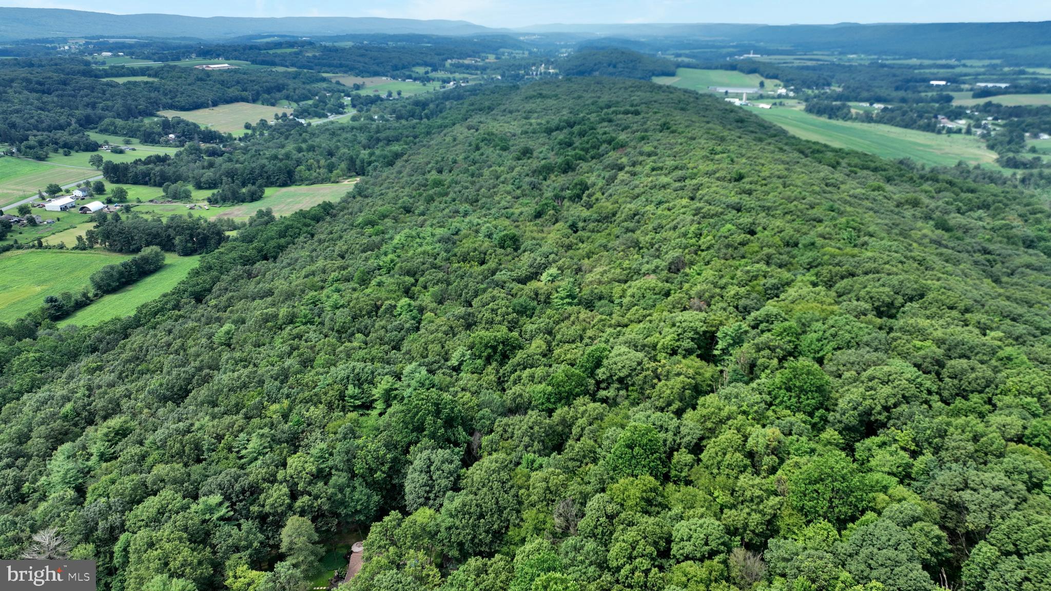 0 Long Run Road Pine Grove, PA 17963 - Photo 12 of 20 Gallery Image 12