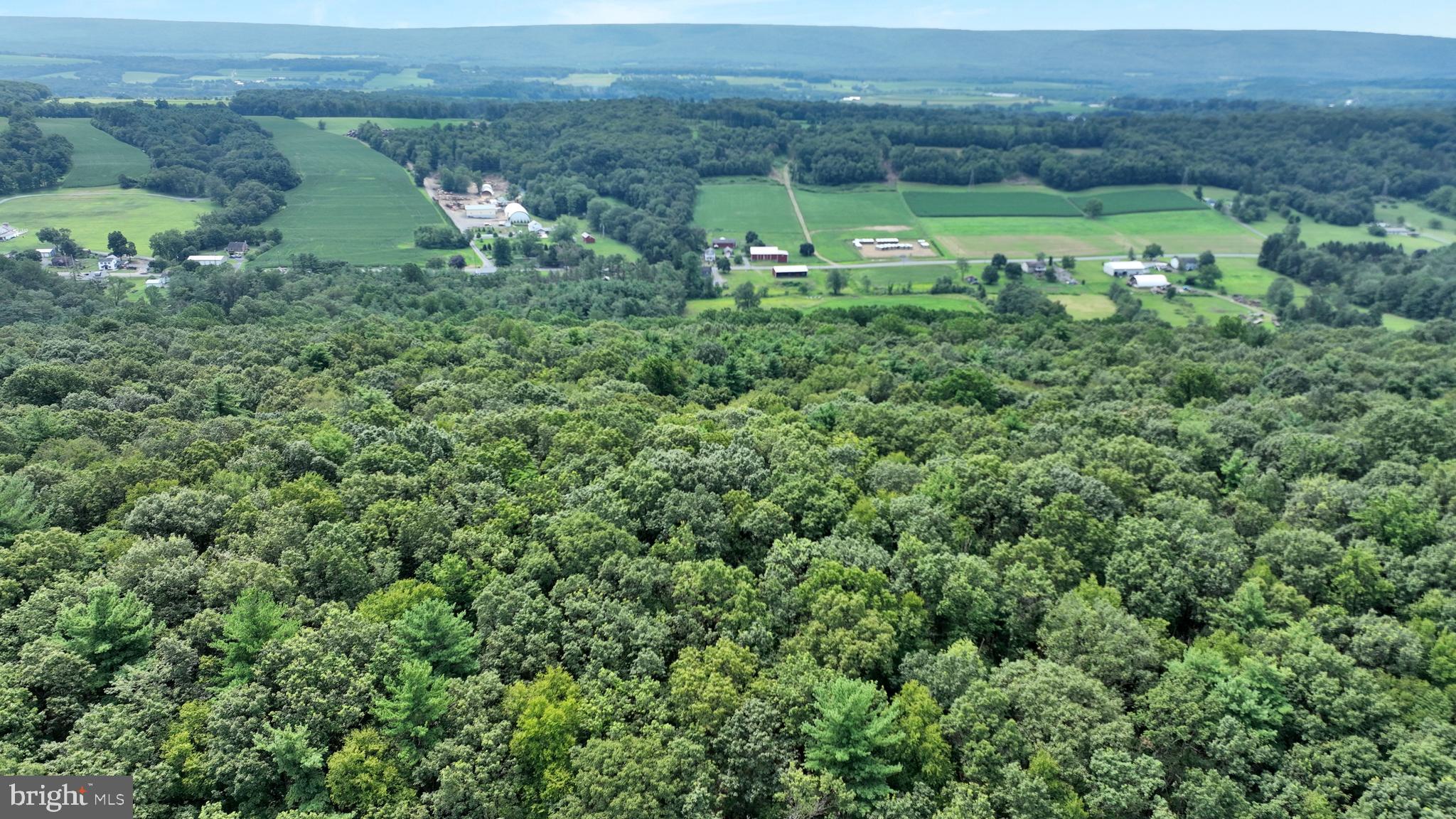 0 Long Run Road Pine Grove, PA 17963 - Photo 13 of 20 Gallery Image 13